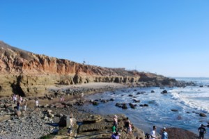 Cabrillo National Memorial Tide Pools