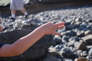 Paul discovering a snail