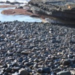 Rocks at the tidal pool