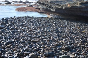 Rocks at the tidal pool
