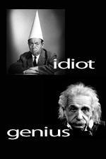 genius or idiot