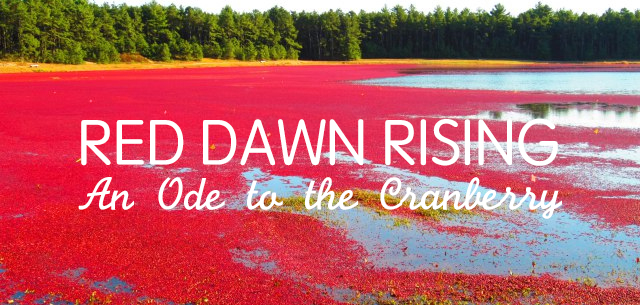 An Ode to the Cranberry