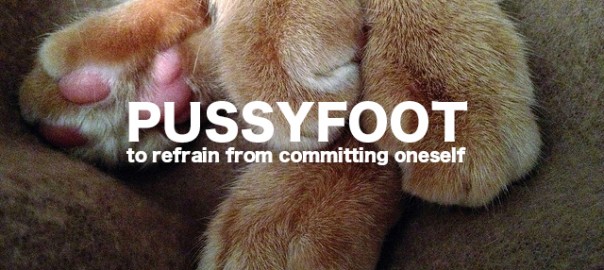 Pussyfoot