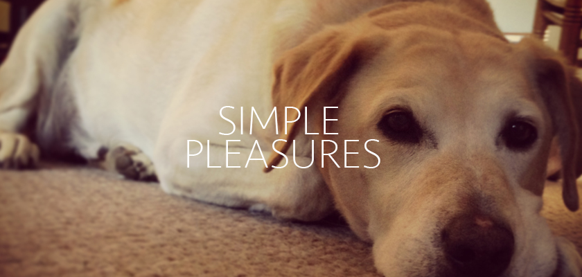 5 Simple Pleasures I am Digging Right Now
