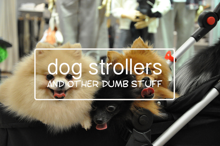 Dog Strollers and Other Dumb Stuff