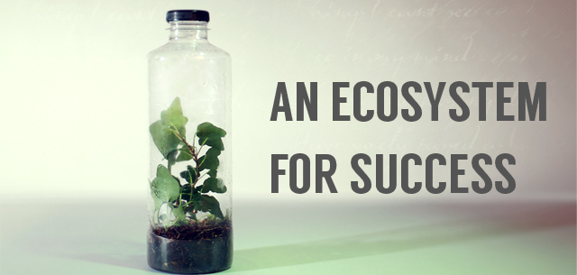 An Ecosystem for Success