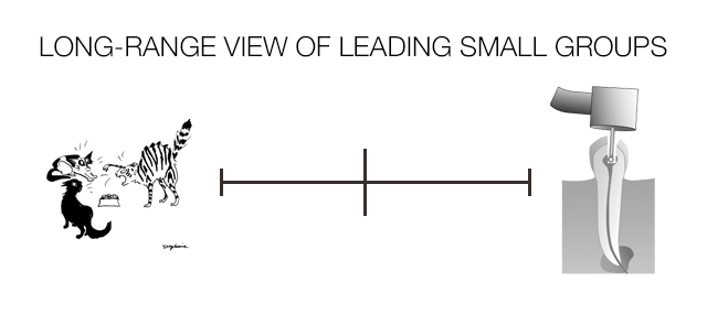 Long-Range View of Leading Small Groups