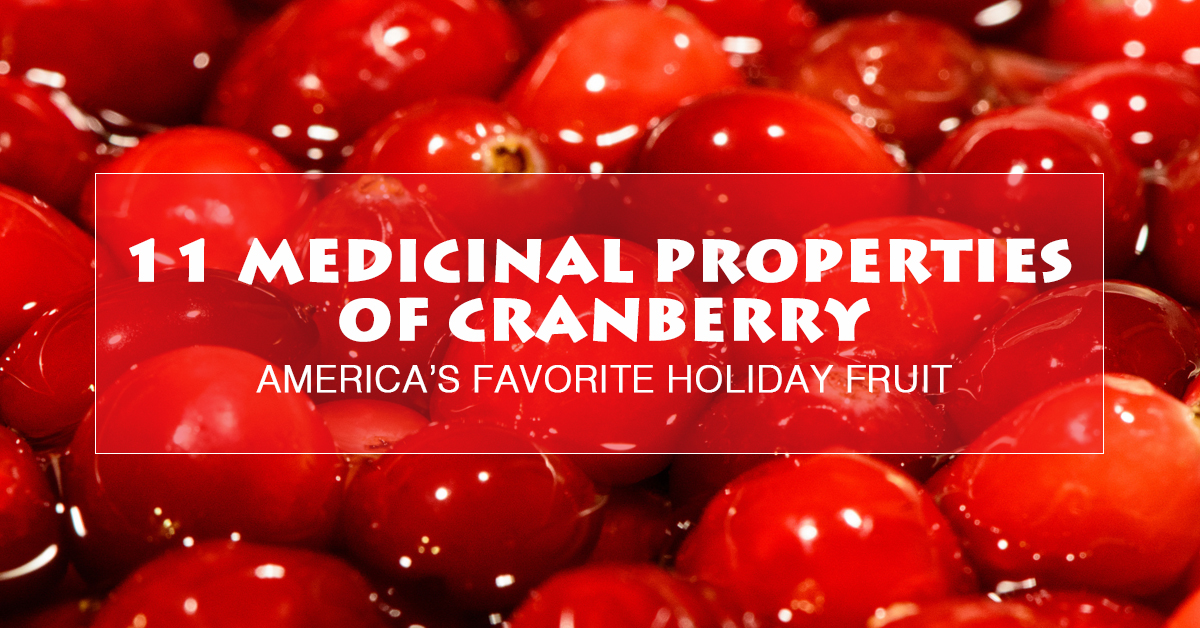 The Medicinal Cranberry