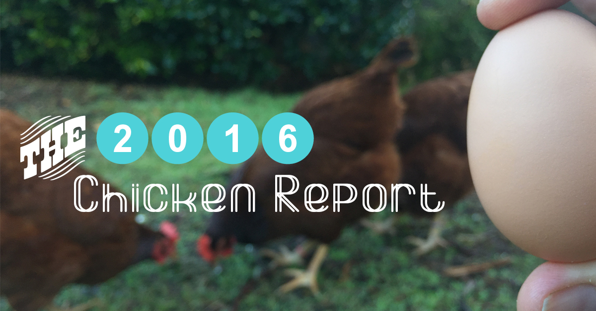 2016 Chicken Report