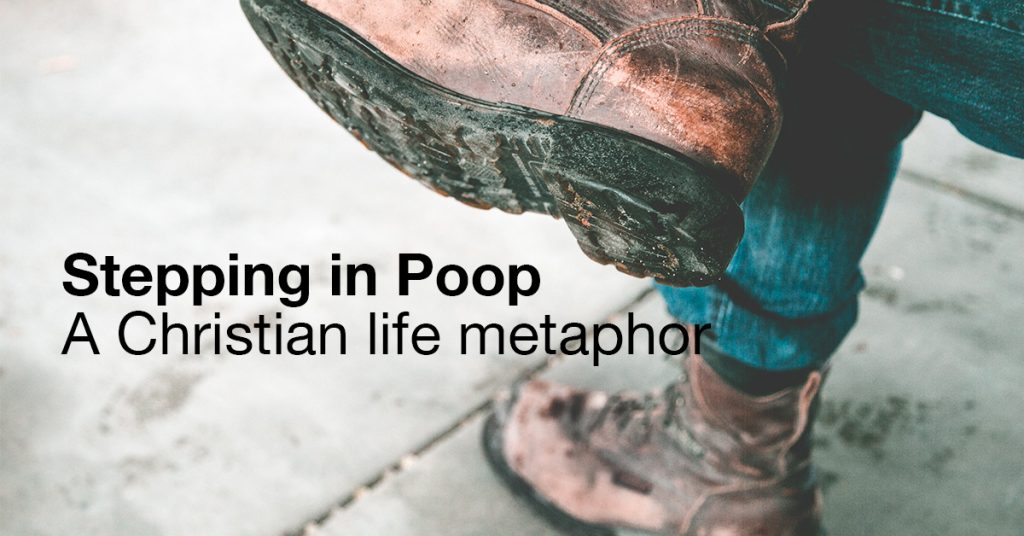 Stepping in Poop Adam McLane