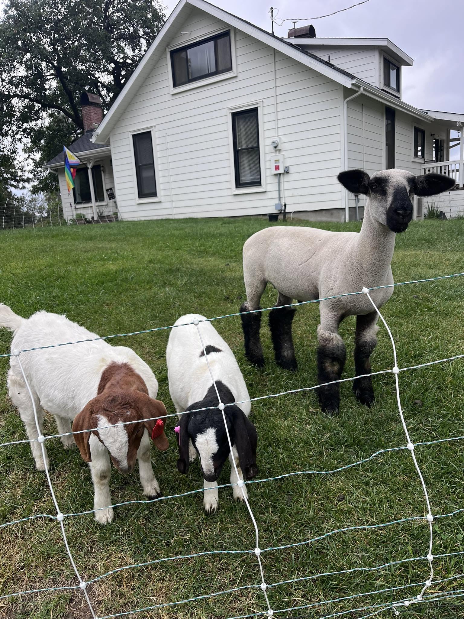 Transforming Community Through Faith and Farming